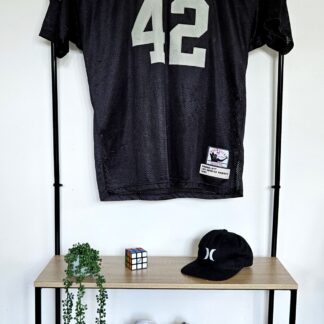 Mitchell & Ness Throwback Ronnie Lott #42 Los Angeles Raiders